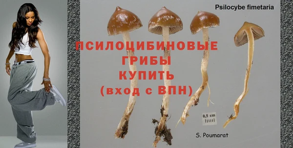 спайс Елабуга