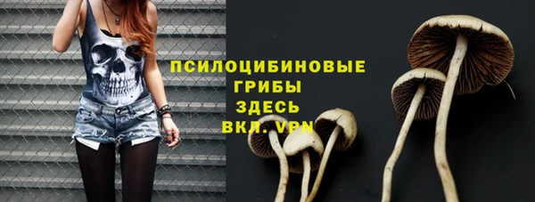 МДПВ Пестово