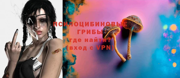 ГАЛЛЮЦИНОГЕННЫЕ ГРИБЫ Елизово