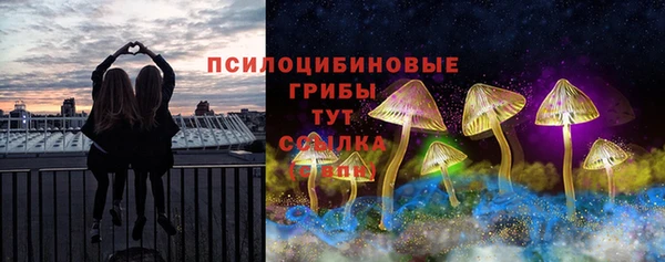 амфетамин Ельня
