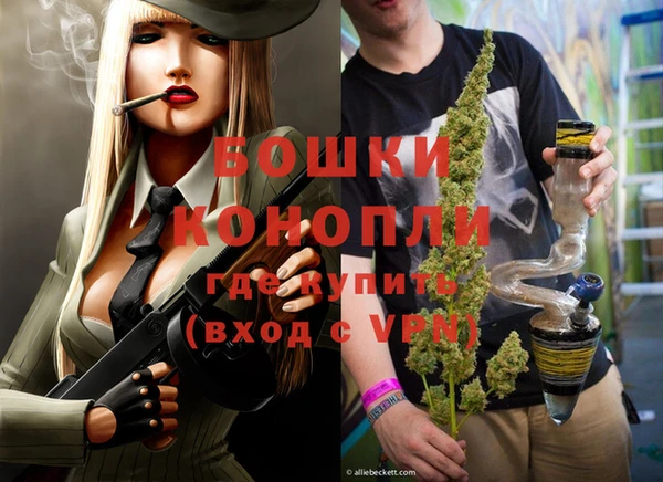 дмт Кострома